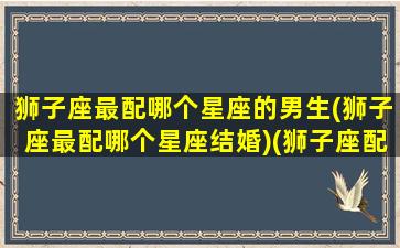 狮子座最配哪个星座的男生(狮子座最配哪个星座结婚)(狮子座配什么座最合适 男生)